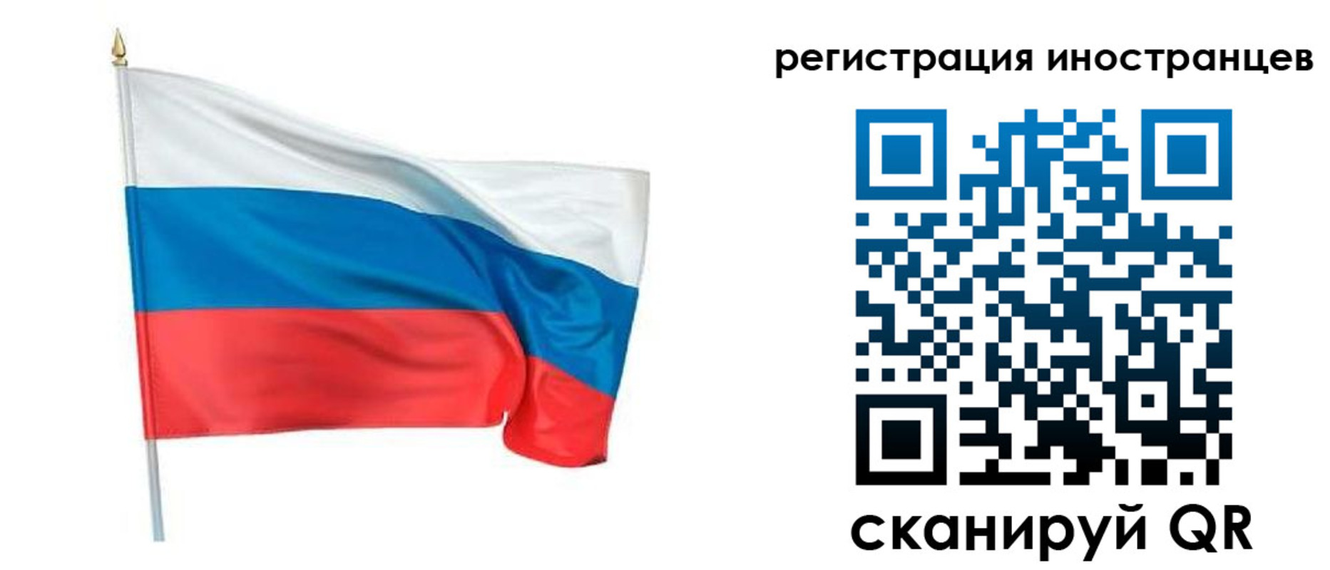 прописка 2025 в Александровске